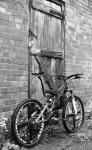 Trek Y33