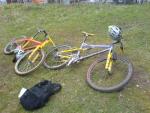 cannock_03