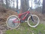 cannock_07