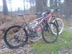 cannock_08