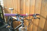 trek 005