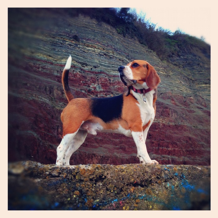 BarneyPosing