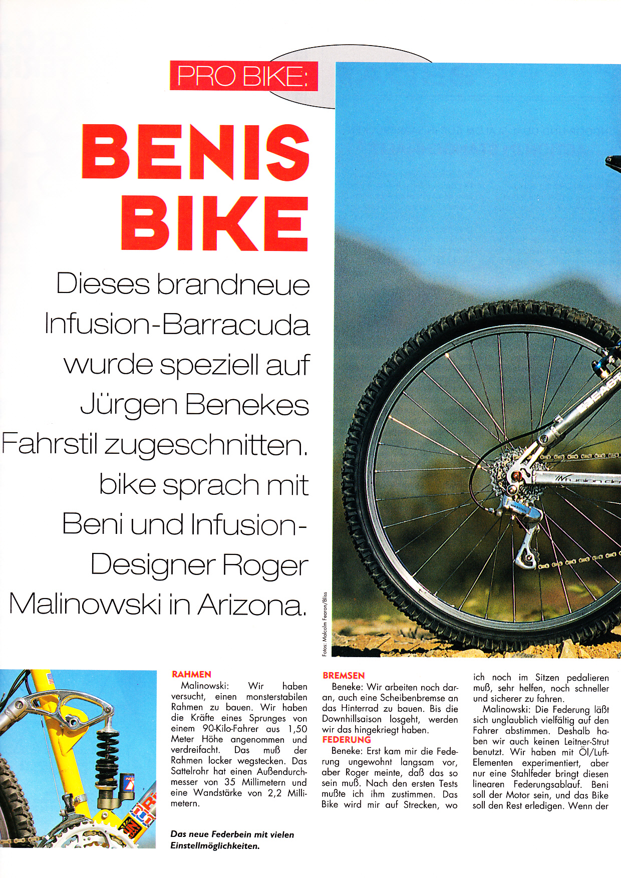 Benis Barracuda_0001