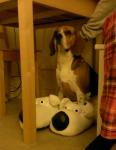 WP_20121231_006