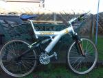 trek and saracen 012