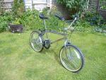 Raleigh Burner