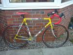 Raleigh Team