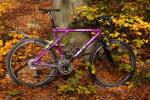 large_DSC00279