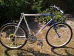 mongoose 001