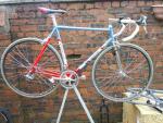 corsa_extra_merckx
