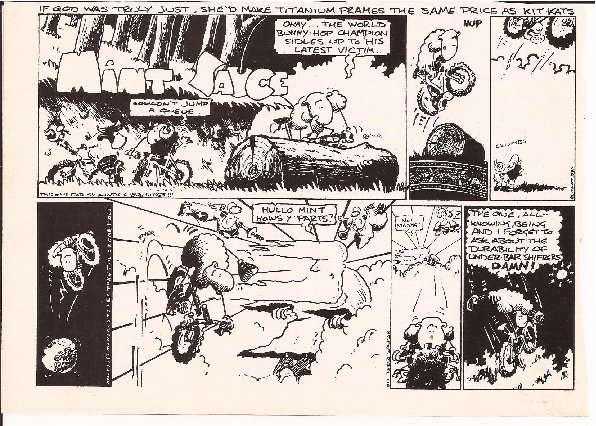 Misc Mint Sauce 24