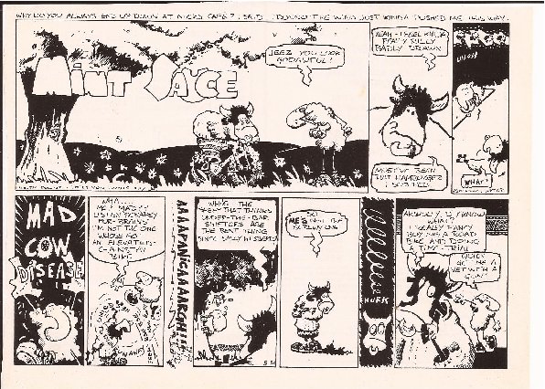 Misc Mint Sauce 27