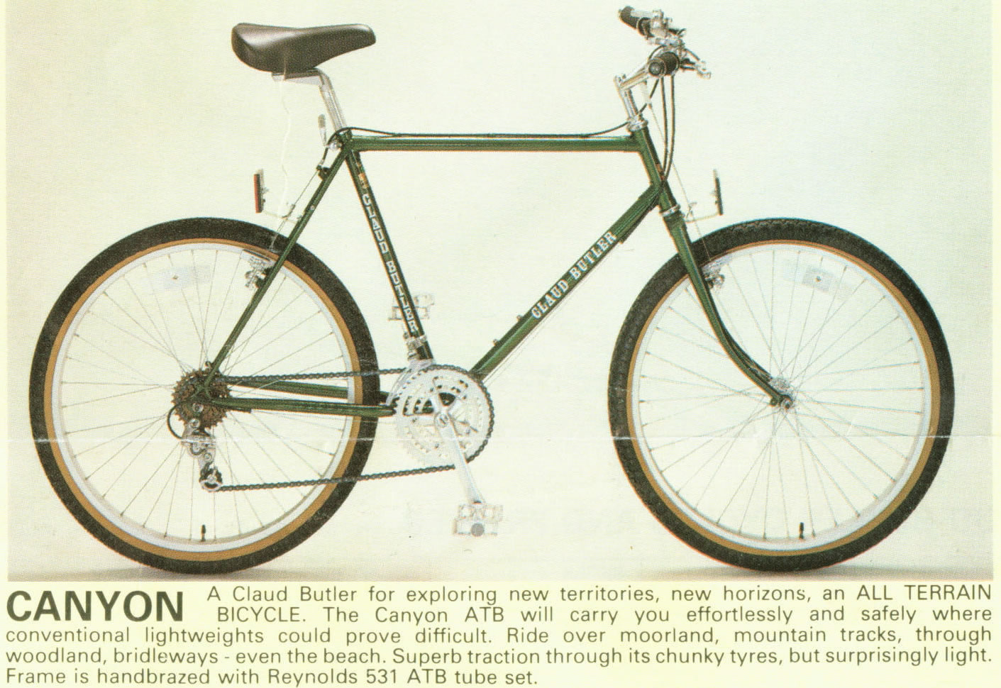 Canyon85