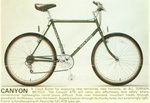 Canyon85
