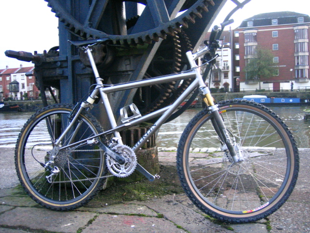 mymerlin 008