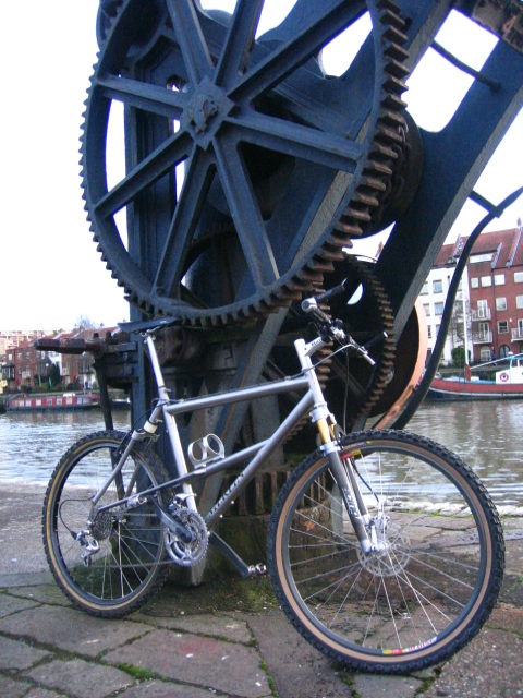 mymerlin 010