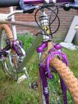 1993 verlicchi (Iron Horse or Rudy Project)