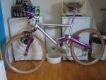 1993 verlicchi