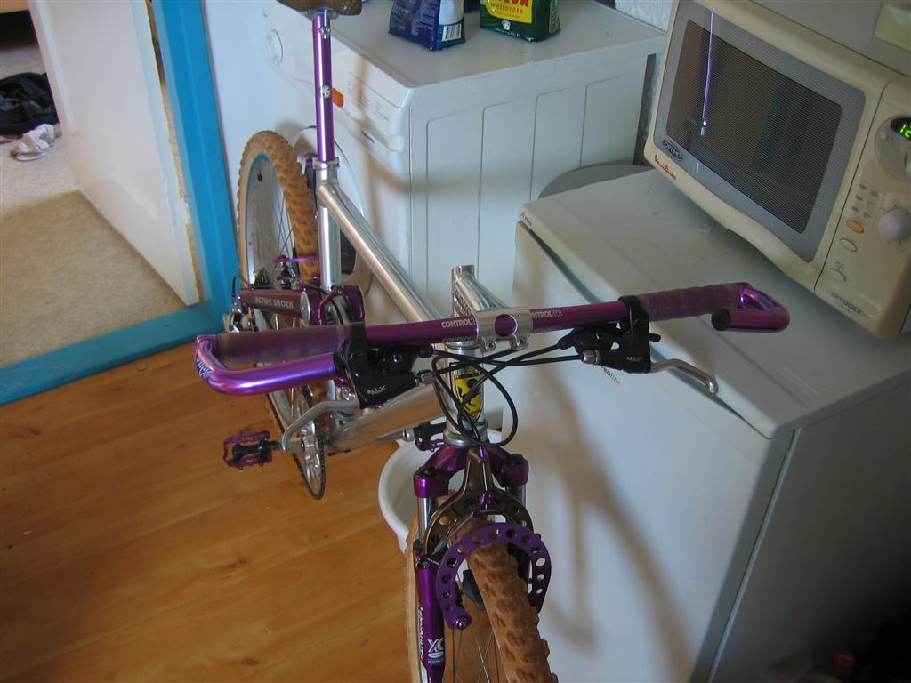 1993 verlicchi
