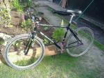 1992 Kona Cinder Cone 001