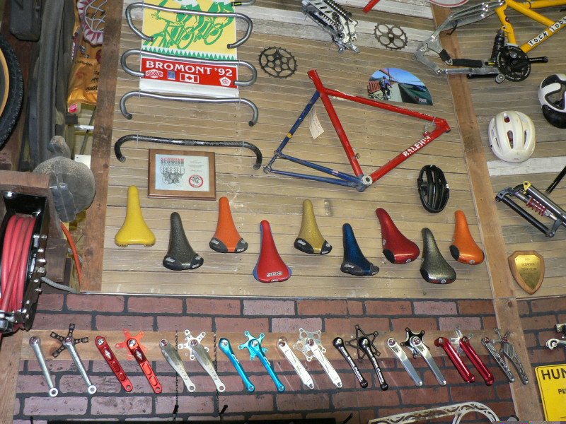 P1010047_1_1.JPG
