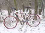 Sneeuw