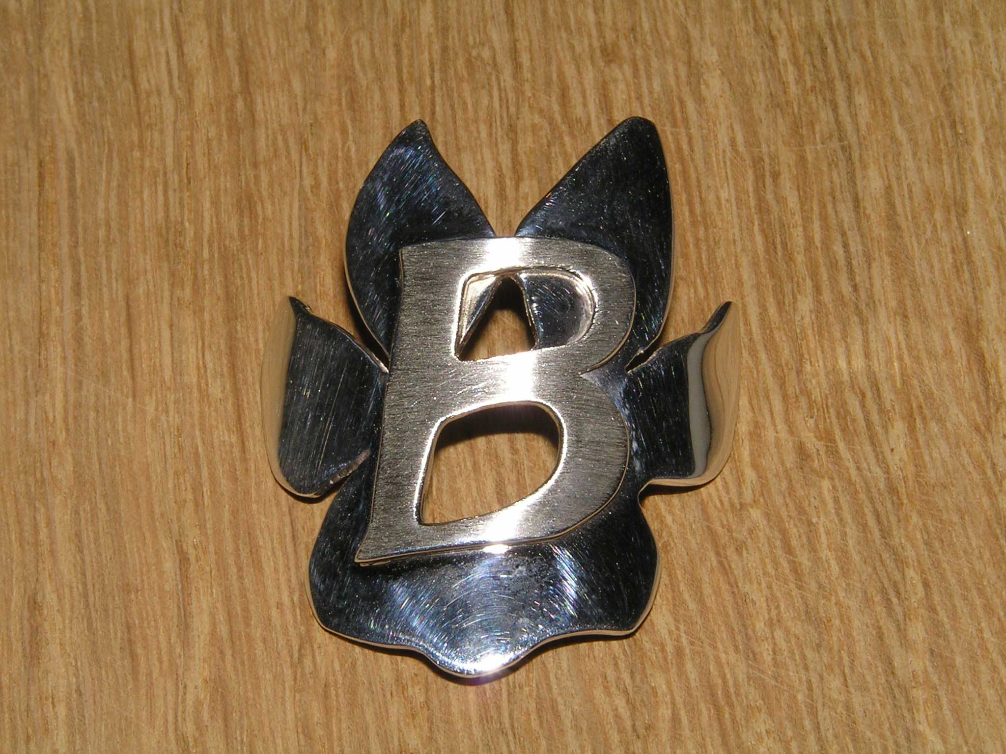 Bontrager-Headbadge