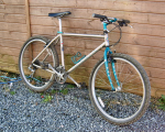 marin bobcat
