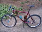Fat chance yoeddy team Candi wild cherry