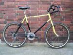 1989 Overbury's Pioneer