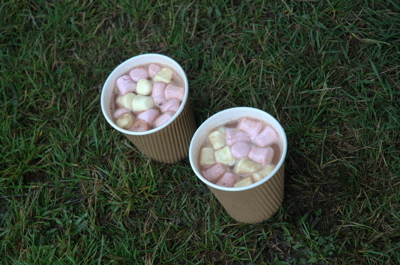 Hot choccy plus marshmallows - lifesaver!