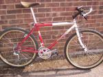 Stumpy 014