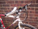 Stumpy 008
