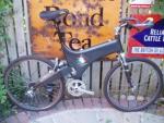 Beasty Bike 1993 - 1994