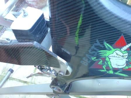 beasty rear