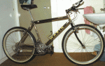 Marin Team Issue