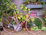 Tommasini1