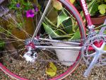 Tommasini4