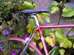Tommasini5
