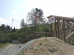 IMG_1965 (Large)