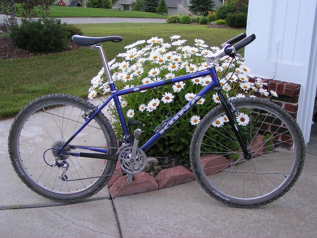 1995 TET Kona Hot