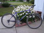 1995 TET Kona Hot