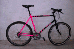 moser