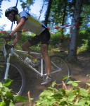 sauweid alex 2006 Curtlo