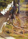 CullyBridge420