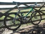 Alien SP Delamere b