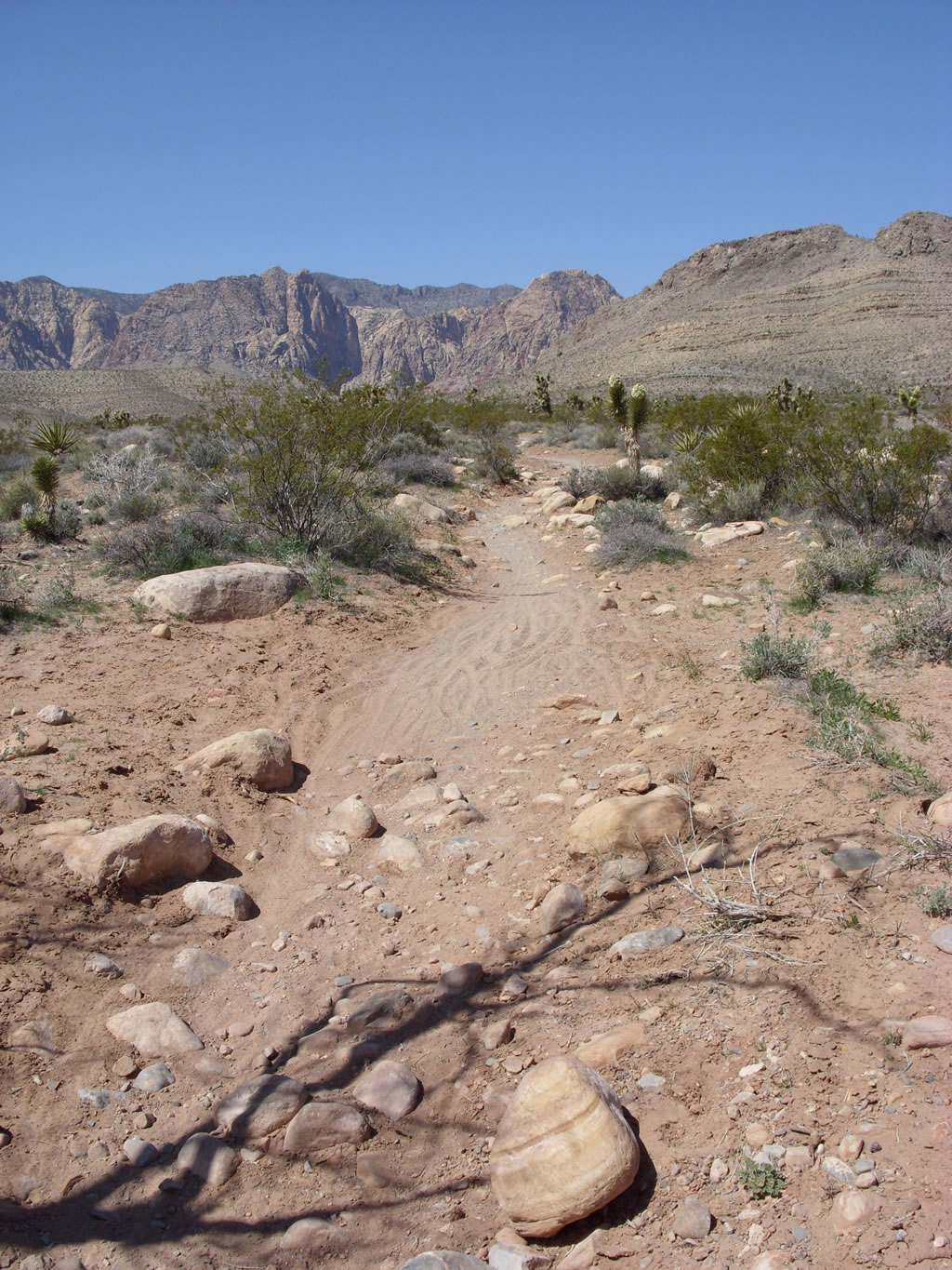 SN850421.jpg