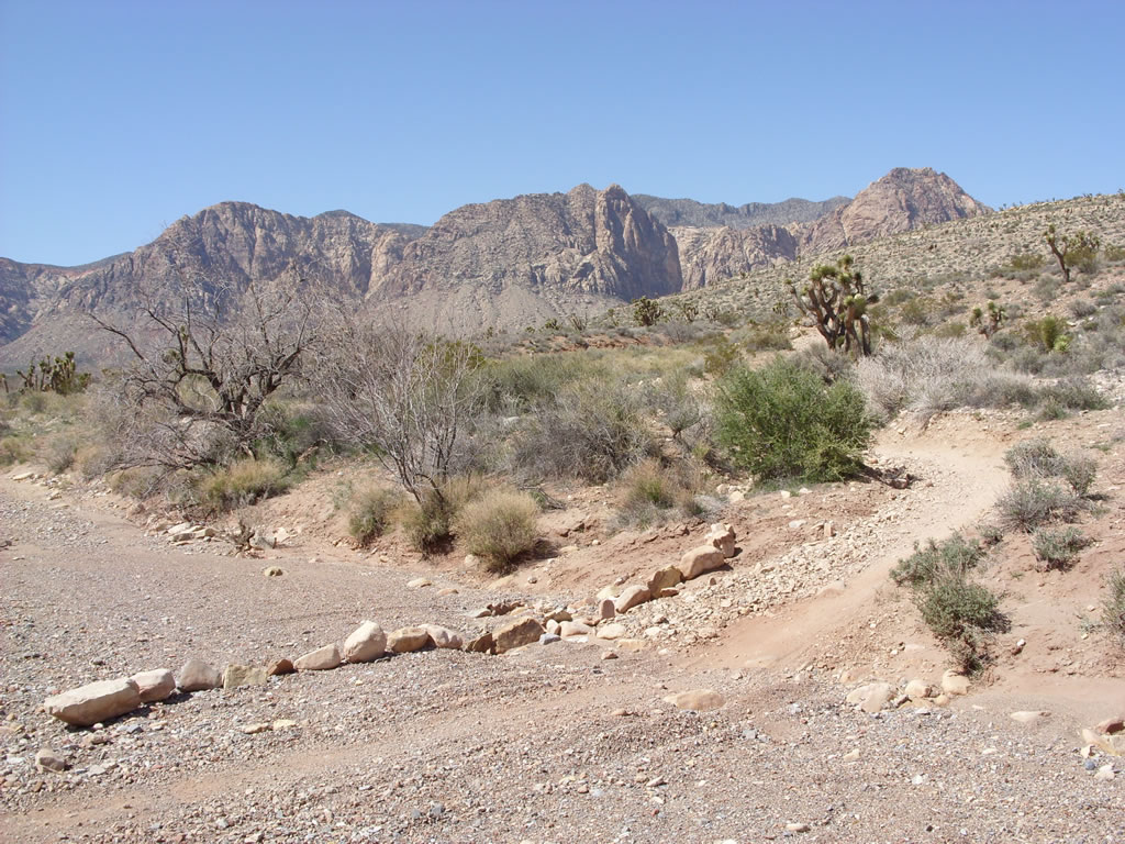 SN850422.jpg