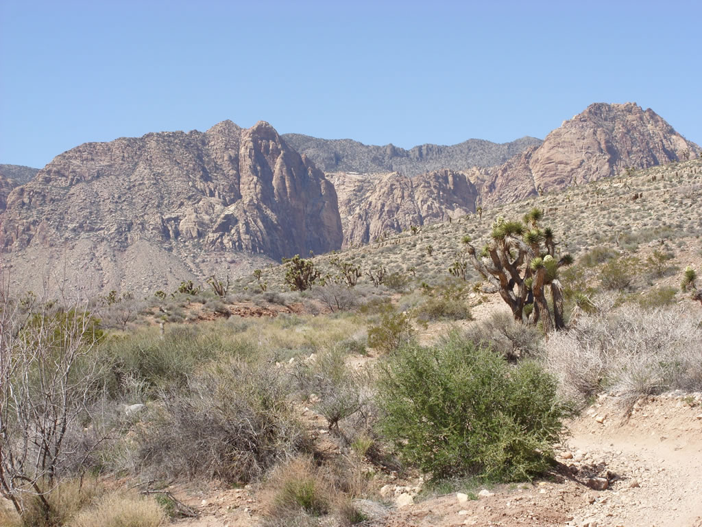 SN850423.jpg