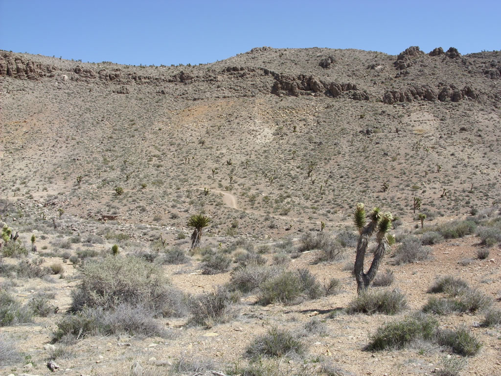 SN850424.jpg